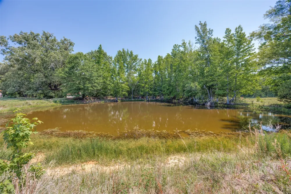 115 County Road 3302 Omaha, TX 75571