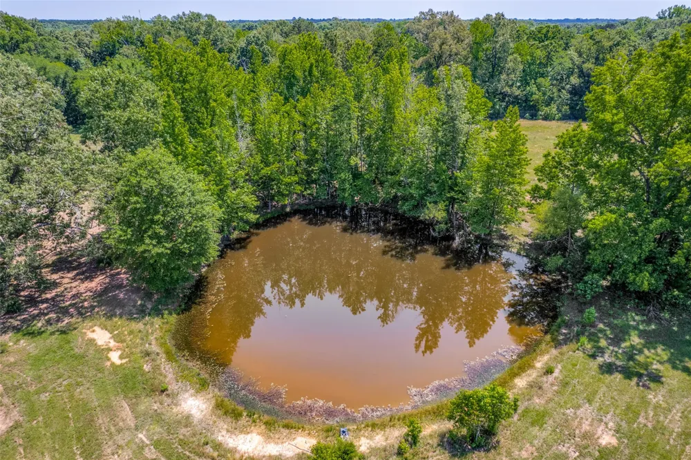 115 County Road 3302 Omaha, TX 75571