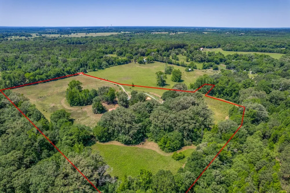 115 County Road 3302 Omaha, TX 75571