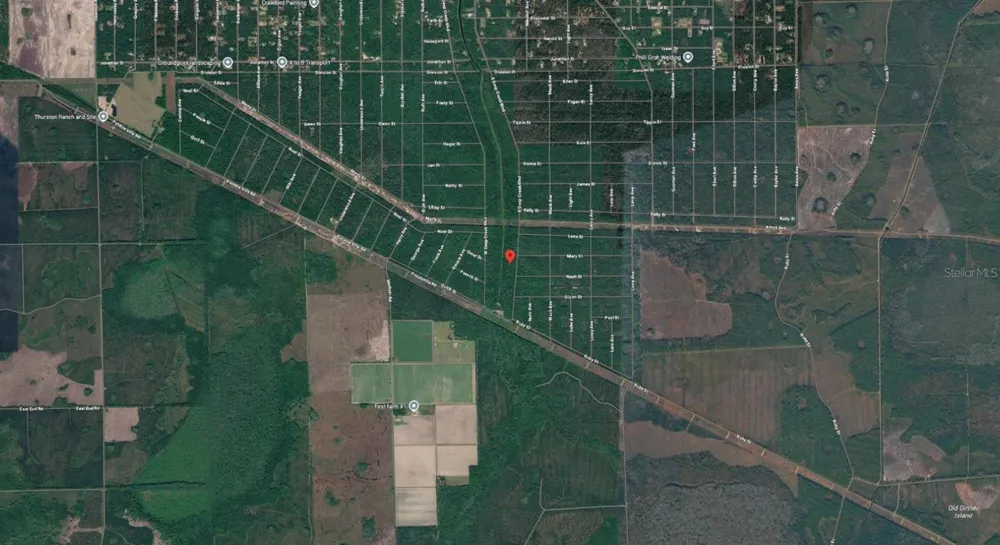 E DEEP CREEK BOULEVARD Hastings, FL 32145