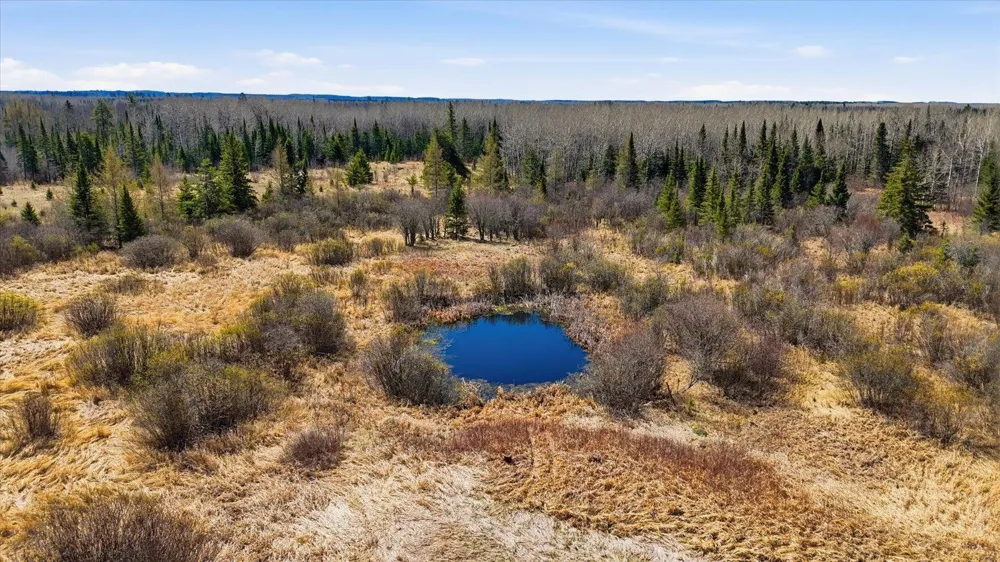 TBD Hwy 25 Angora, MN 55703