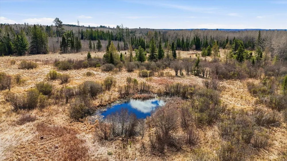 TBD Hwy 25 Angora, MN 55703