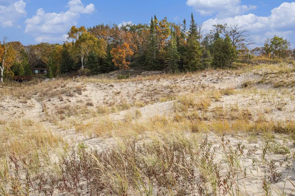 Sylvan Road Lake Township, MI 49635