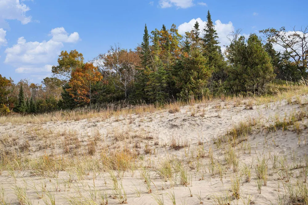 Sylvan Road Lake Township, MI 49635