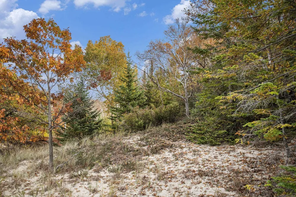 Sylvan Road Lake Township, MI 49635