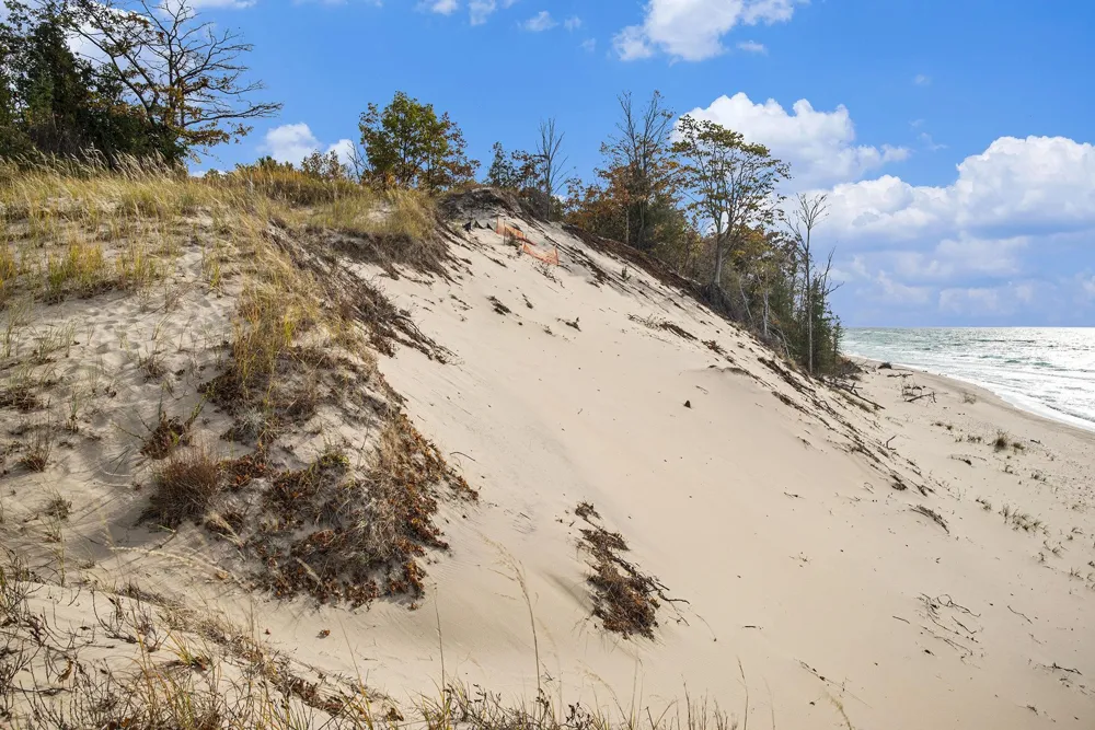 Sylvan Road Lake Township, MI 49635