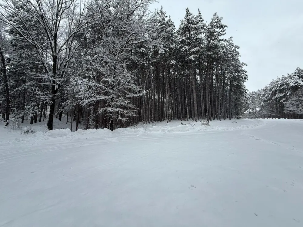 4530 Summit Forest Drive NE Algoma Township, MI 49341
