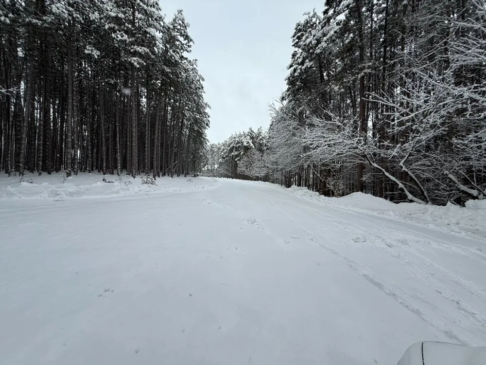 4530 Summit Forest Drive NE Algoma Township, MI 49341