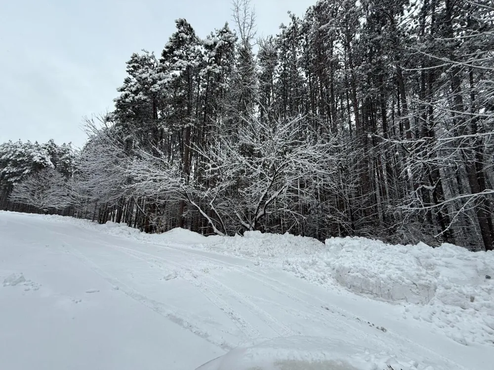 4530 Summit Forest Drive NE Algoma Township, MI 49341