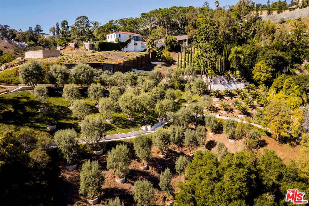 1436 Bella Drive Beverly Hills, CA 90210
