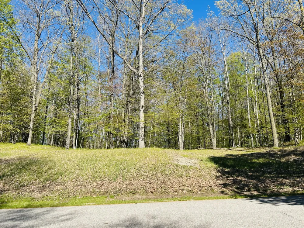 9304 Briarstone Drive #28 Canadian Lakes, MI 49346