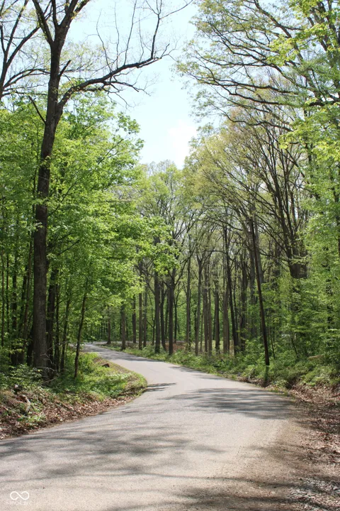 Tract 4: 0 County Road 555 E