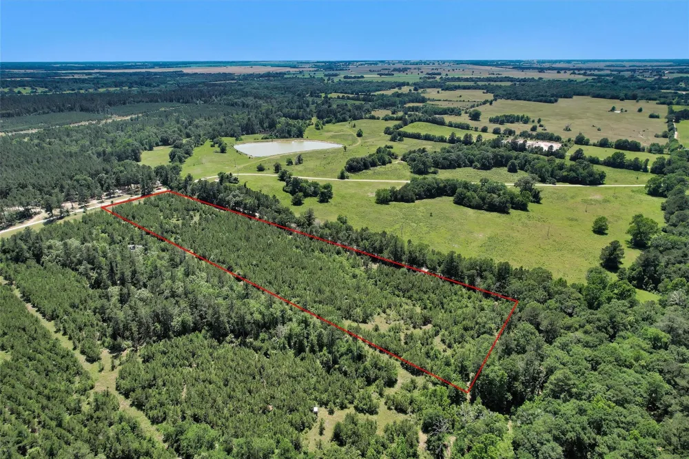 Williamson Way Lovelady, TX 75851