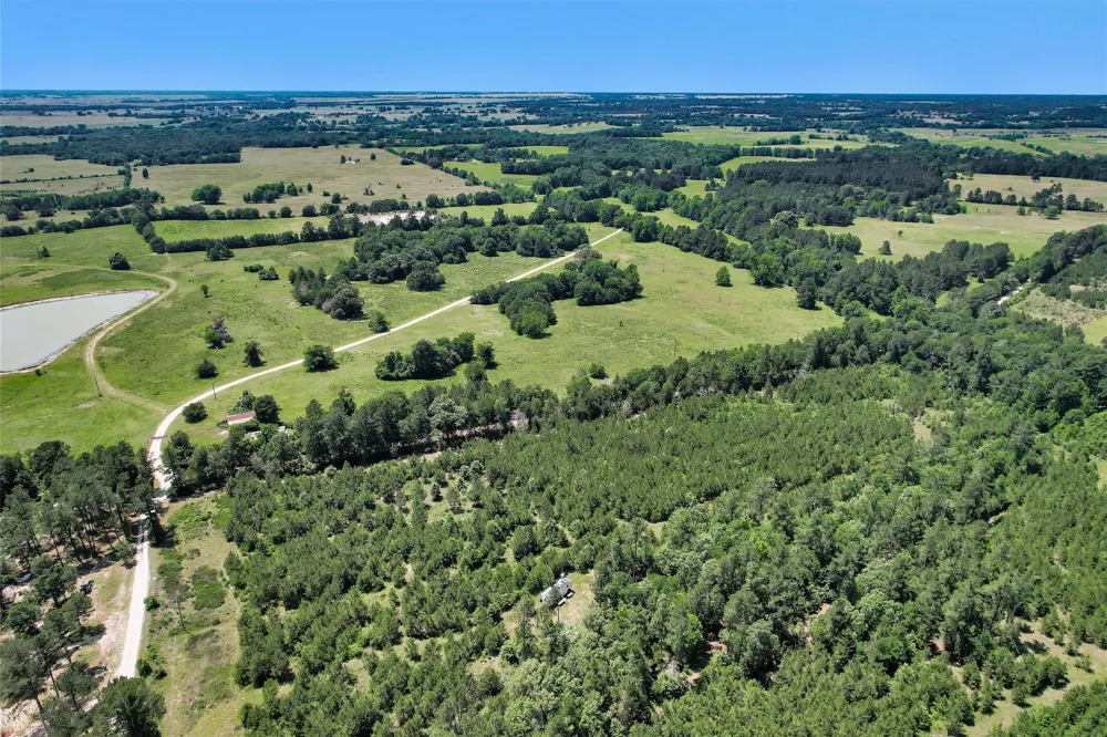 Williamson Way Lovelady, TX 75851