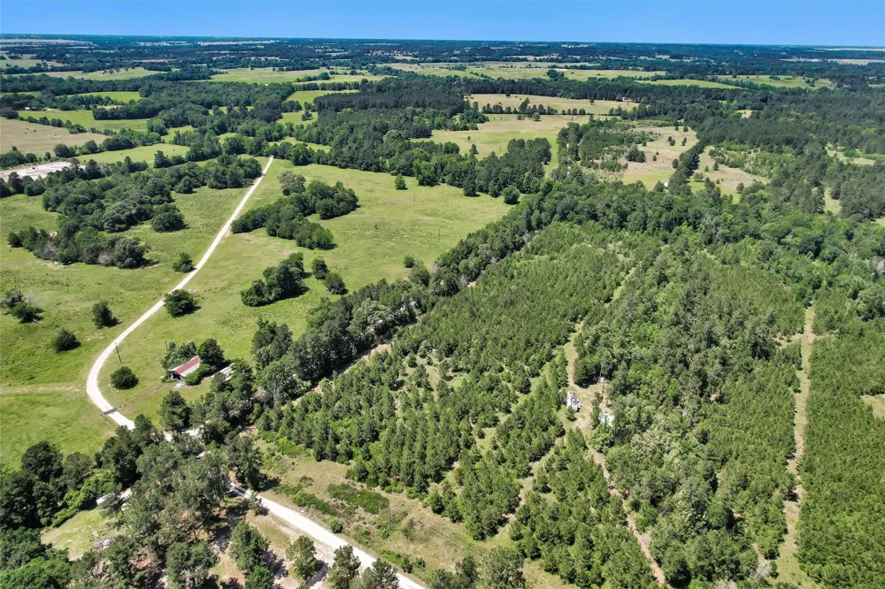 Williamson Way Lovelady, TX 75851