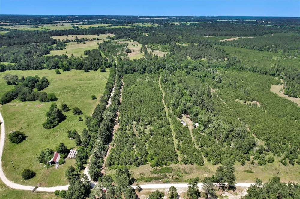 Williamson Way Lovelady, TX 75851