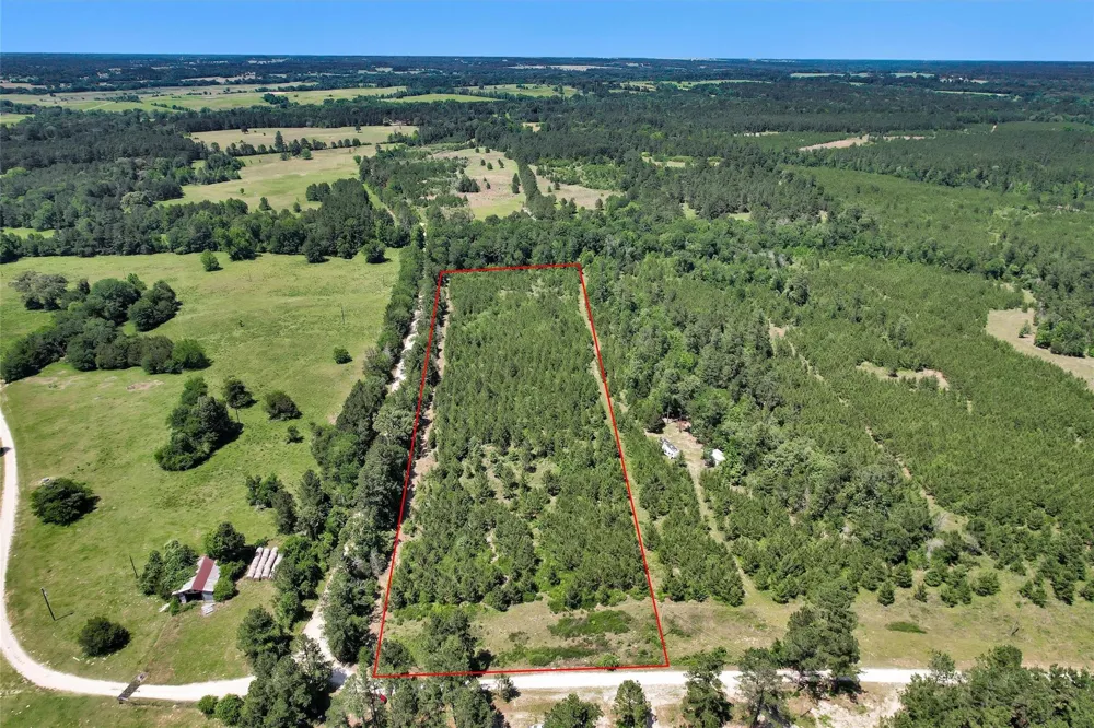 Williamson Way Lovelady, TX 75851