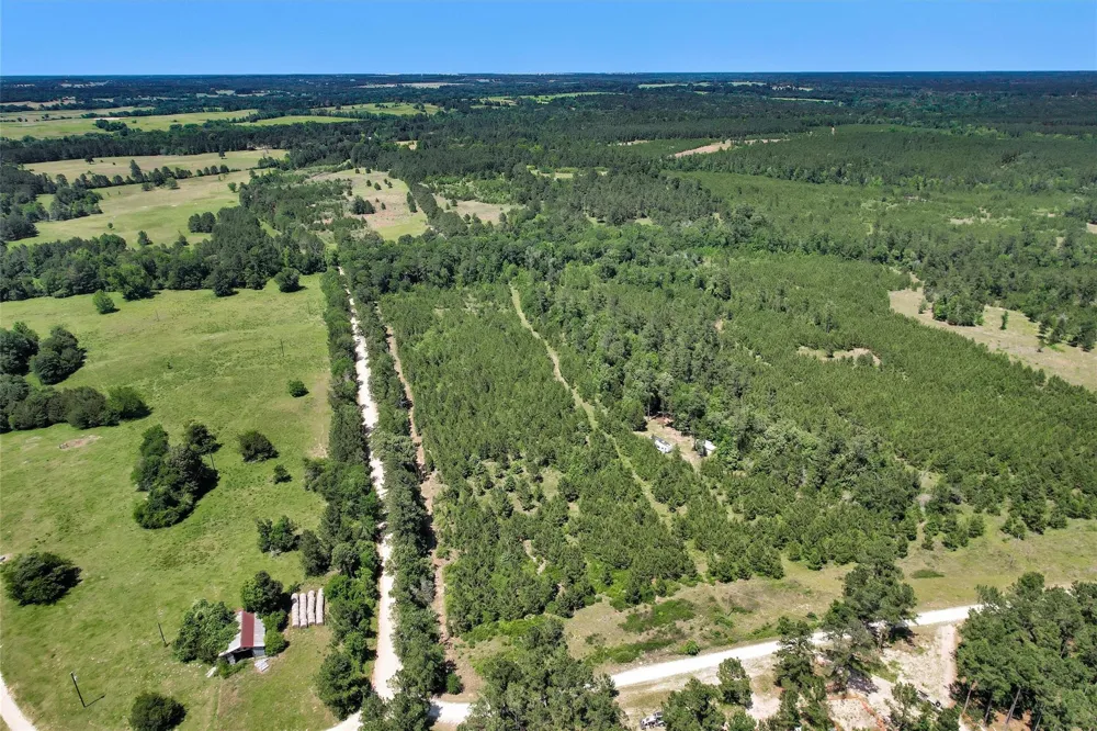 Williamson Way Lovelady, TX 75851