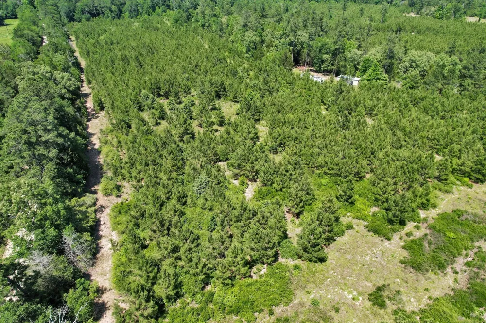 Williamson Way Lovelady, TX 75851