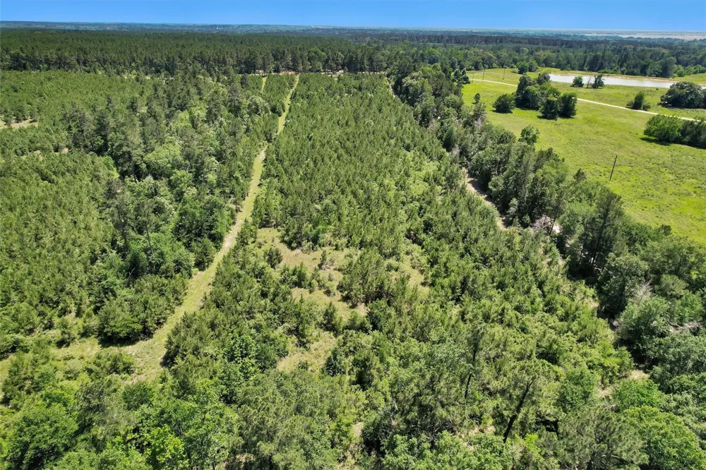 Williamson Way Lovelady, TX 75851