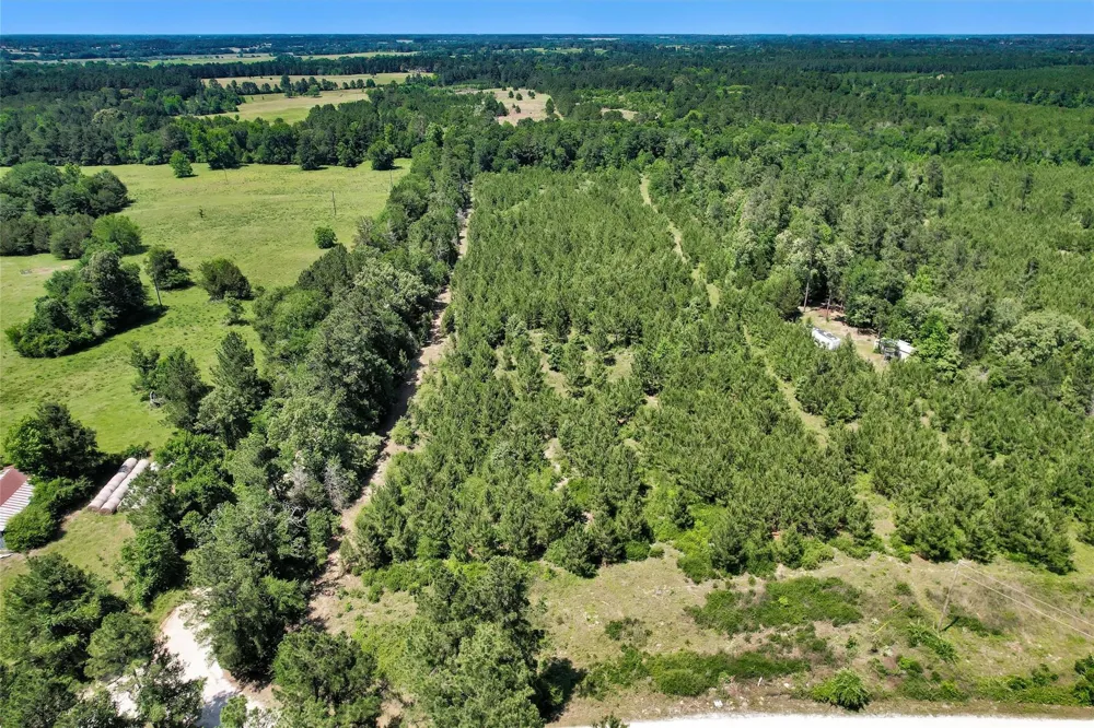 Williamson Way Lovelady, TX 75851