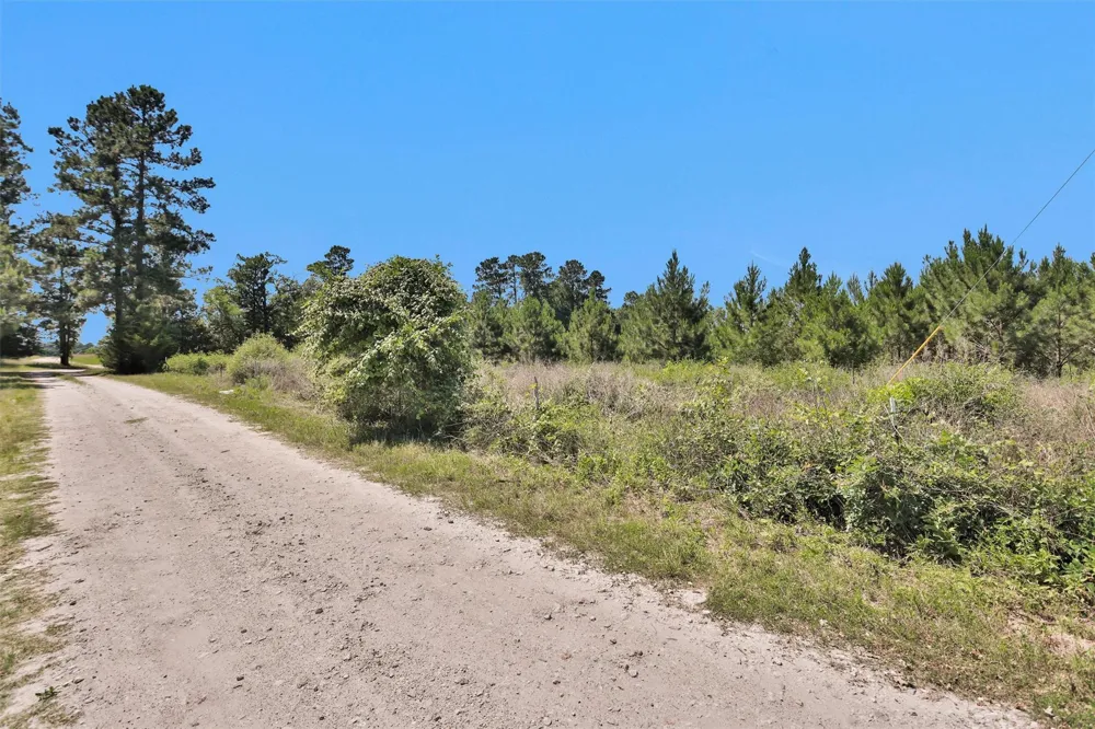 Williamson Way Lovelady, TX 75851