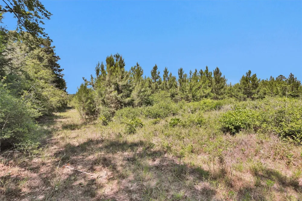 Williamson Way Lovelady, TX 75851