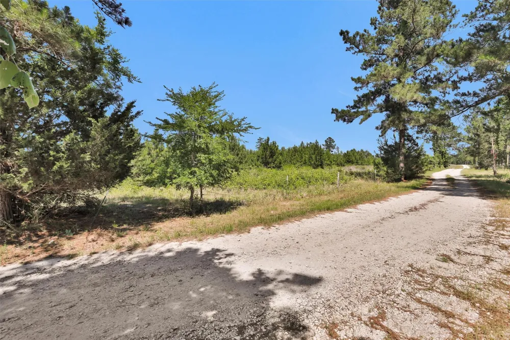 Williamson Way Lovelady, TX 75851