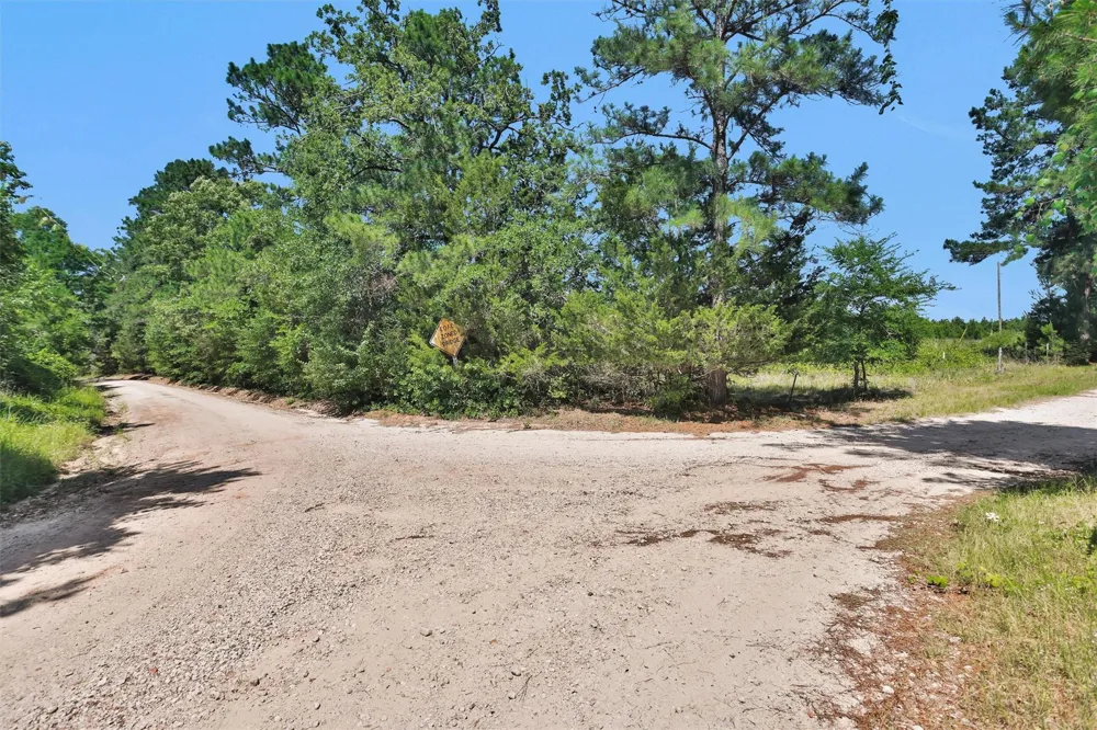 Williamson Way Lovelady, TX 75851