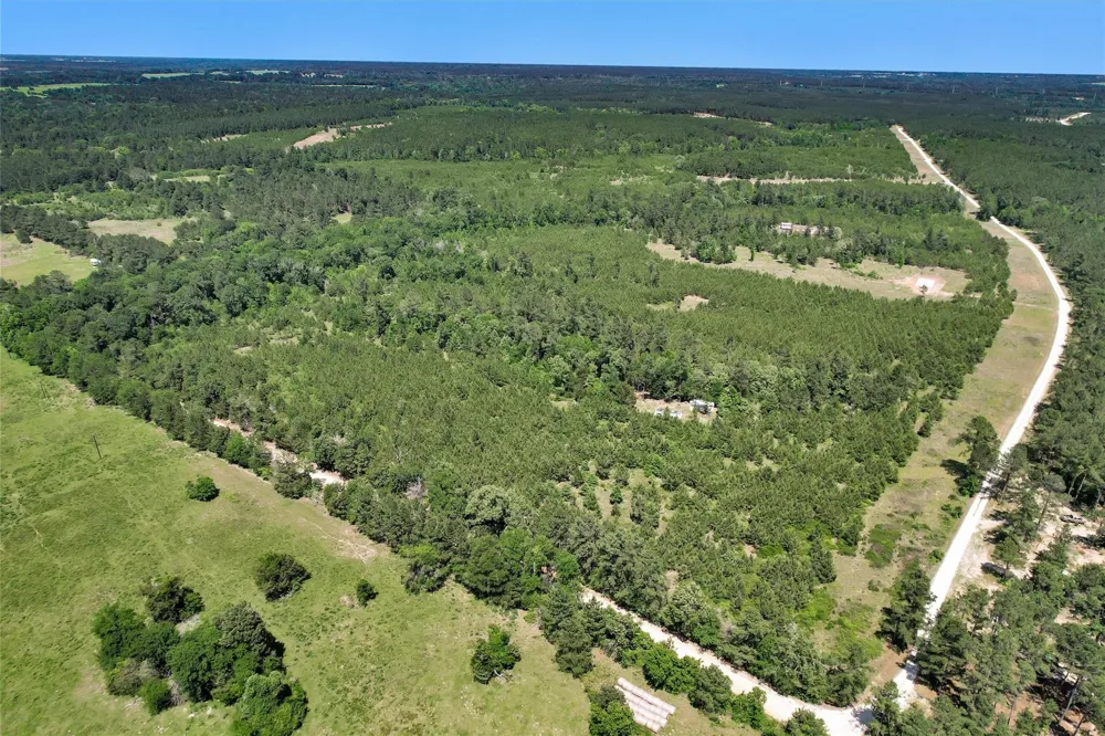 Williamson Way Lovelady, TX 75851