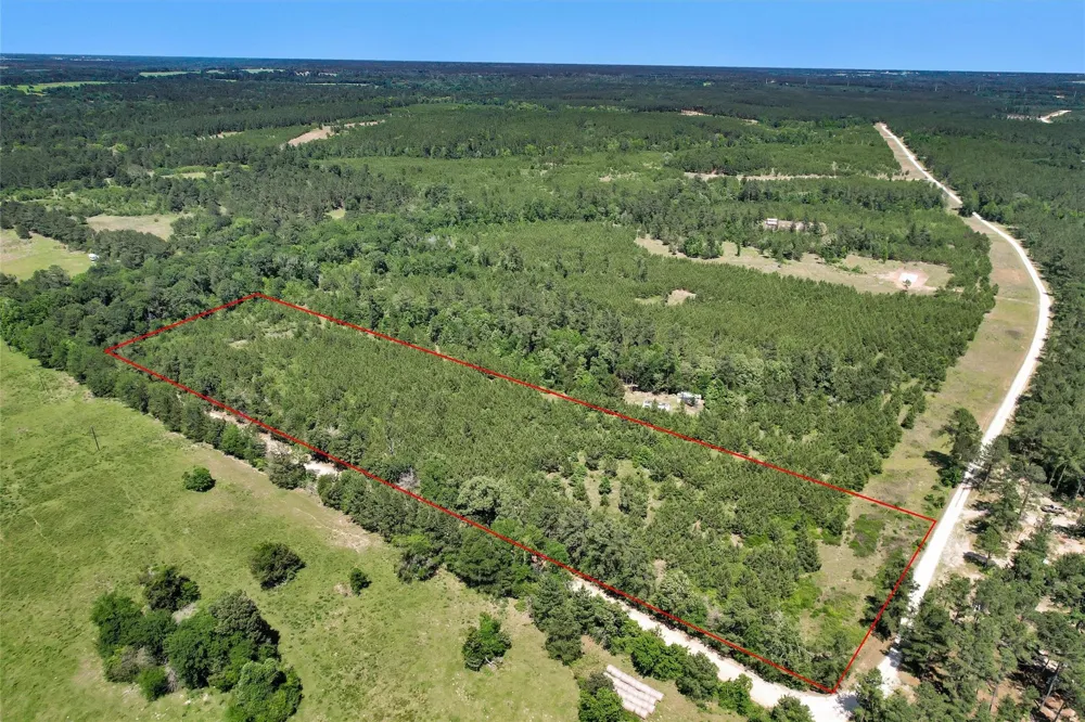 Williamson Way Lovelady, TX 75851