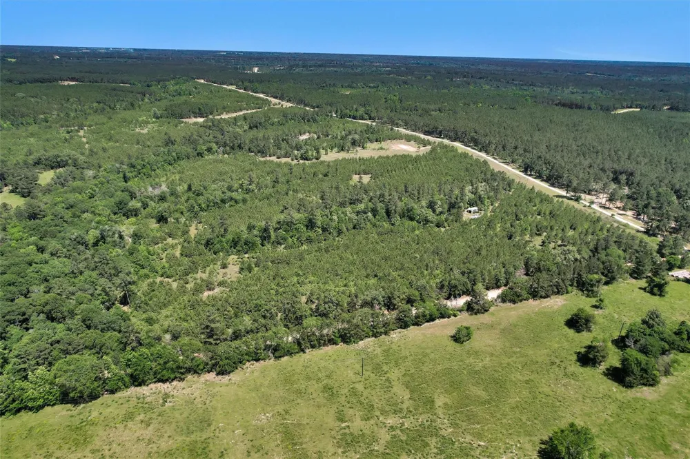 Williamson Way Lovelady, TX 75851