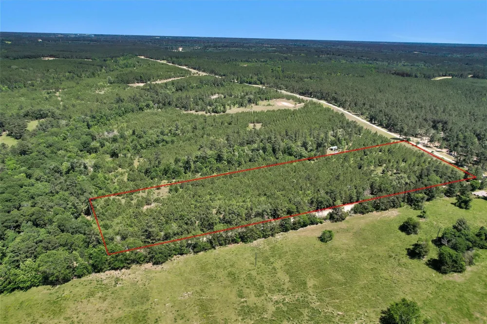 Williamson Way Lovelady, TX 75851