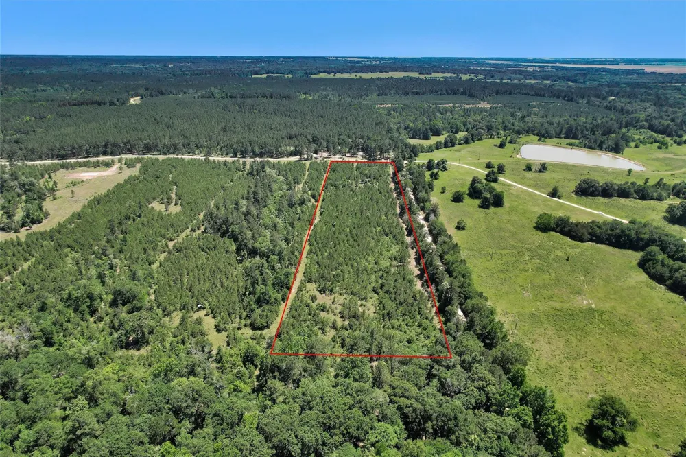 Williamson Way Lovelady, TX 75851
