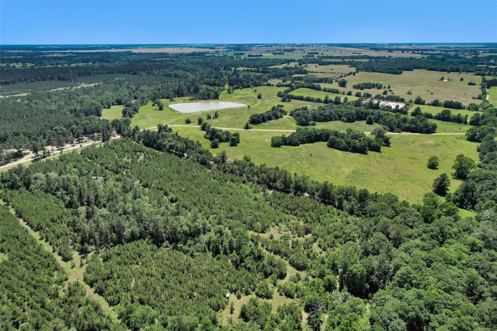 Williamson Way Lovelady, TX 75851