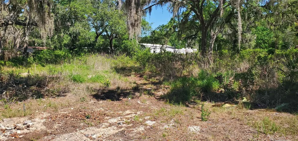 11939 BEMONT AVENUE New Port Richey, FL 34654