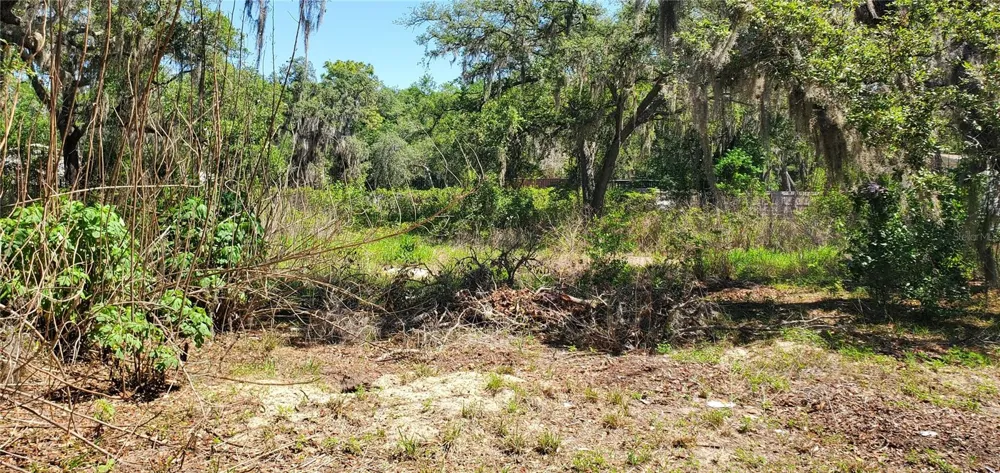 11939 BEMONT AVENUE New Port Richey, FL 34654