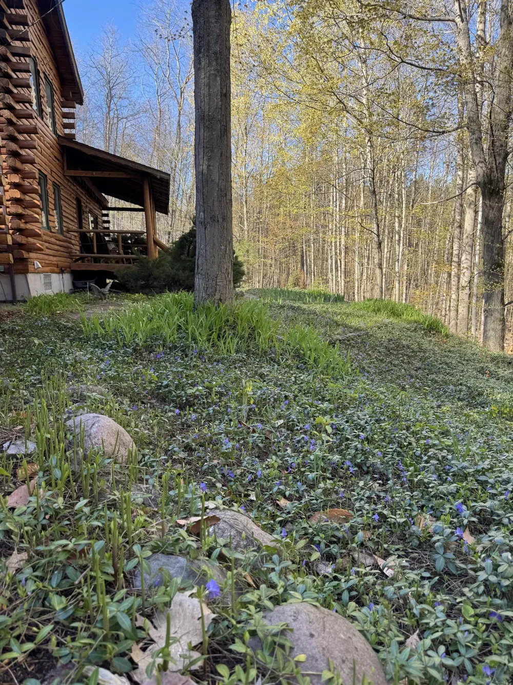 151 S Crestwood Drive Suttons Bay Township, MI 49682