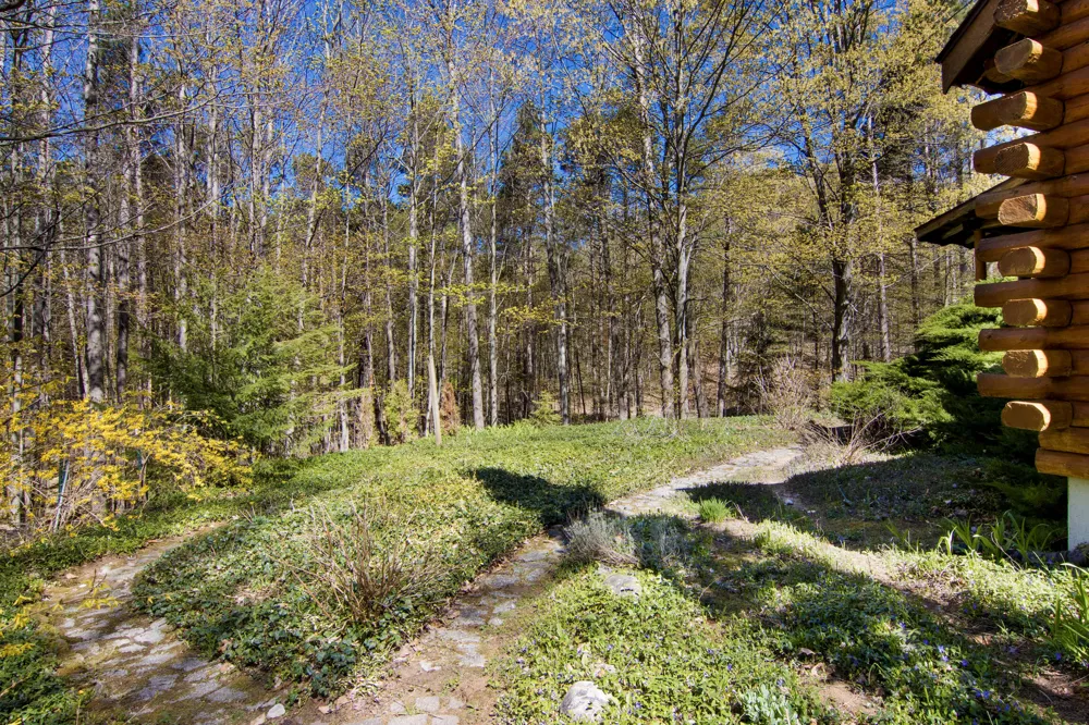 151 S Crestwood Drive Suttons Bay Township, MI 49682