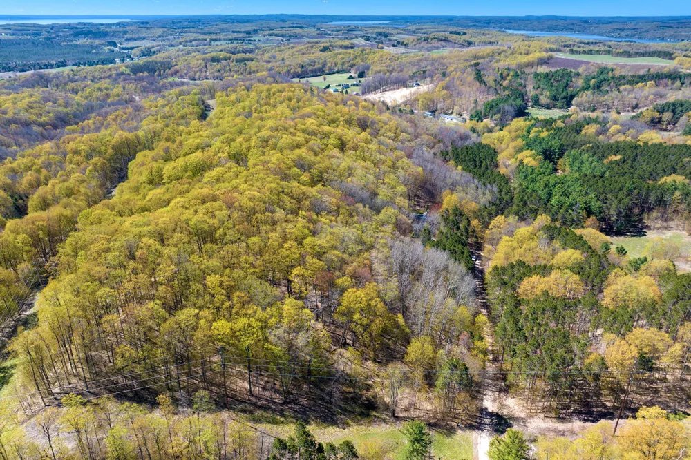 151 S Crestwood Drive Suttons Bay Township, MI 49682