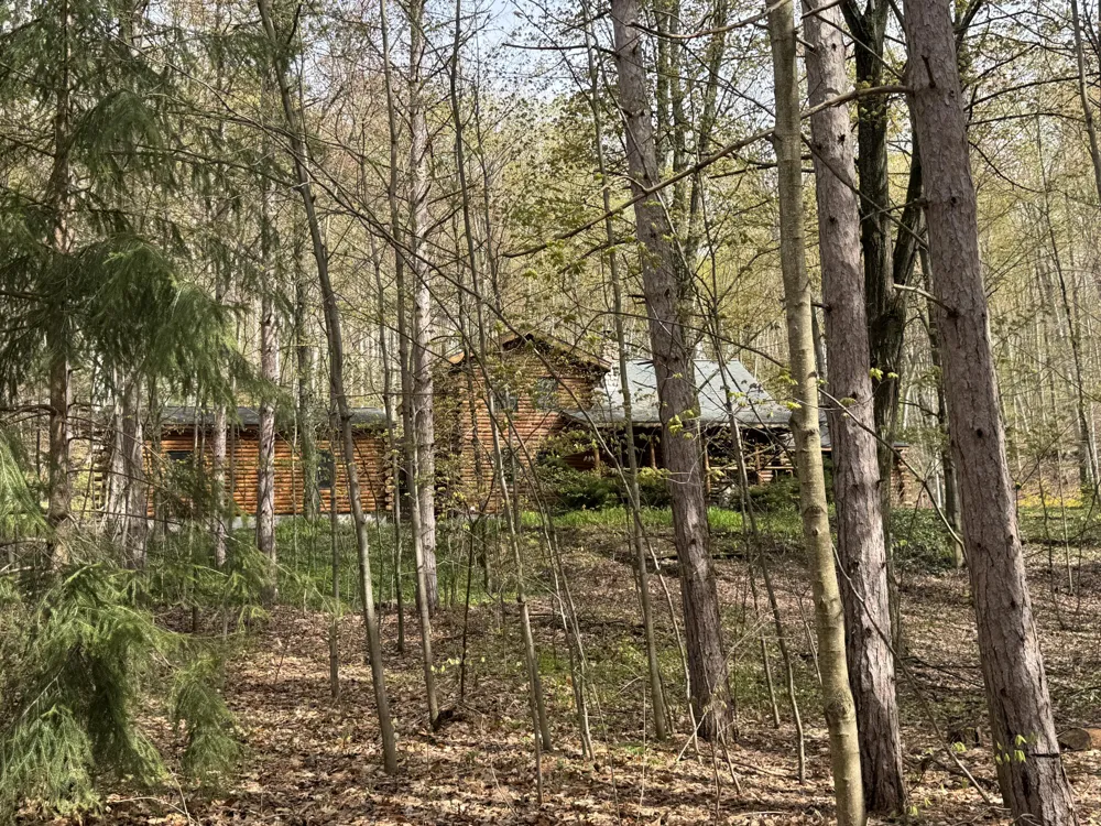 151 S Crestwood Drive Suttons Bay Township, MI 49682