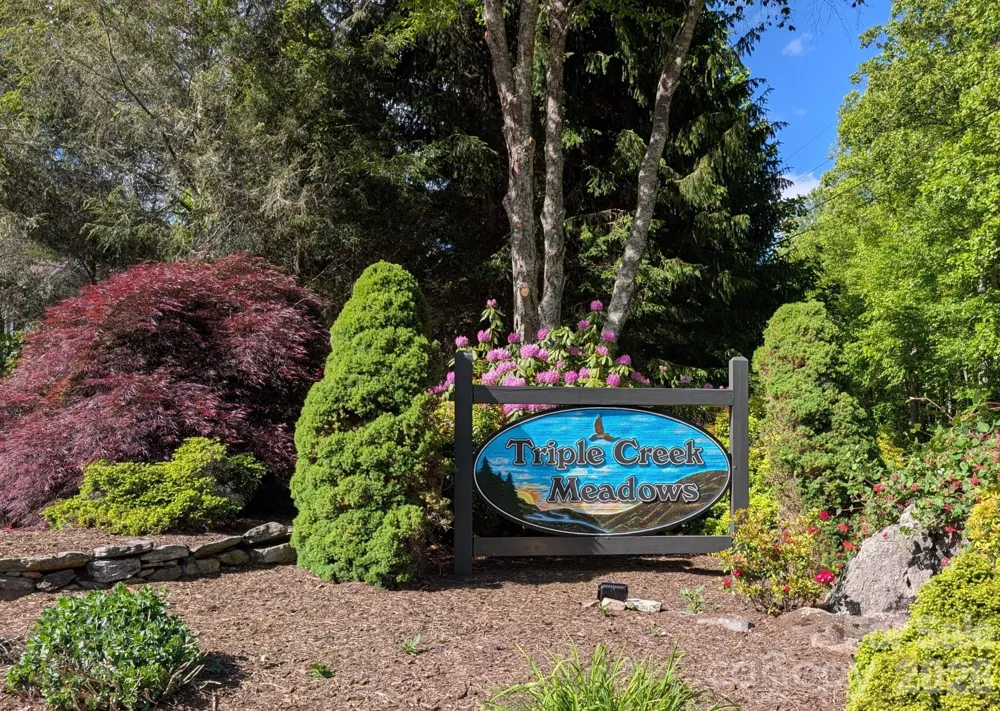 96 Buckeye Branch Drive Clyde, NC 28721