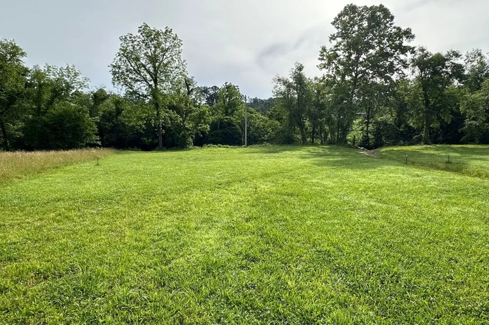 Lot 50 Brasstown Trails Warne, NC 28909