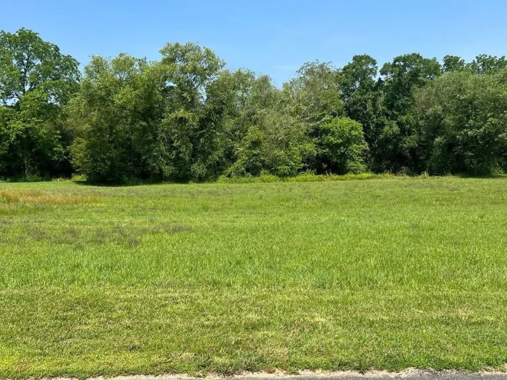 Lot 50 Brasstown Trails Warne, NC 28909