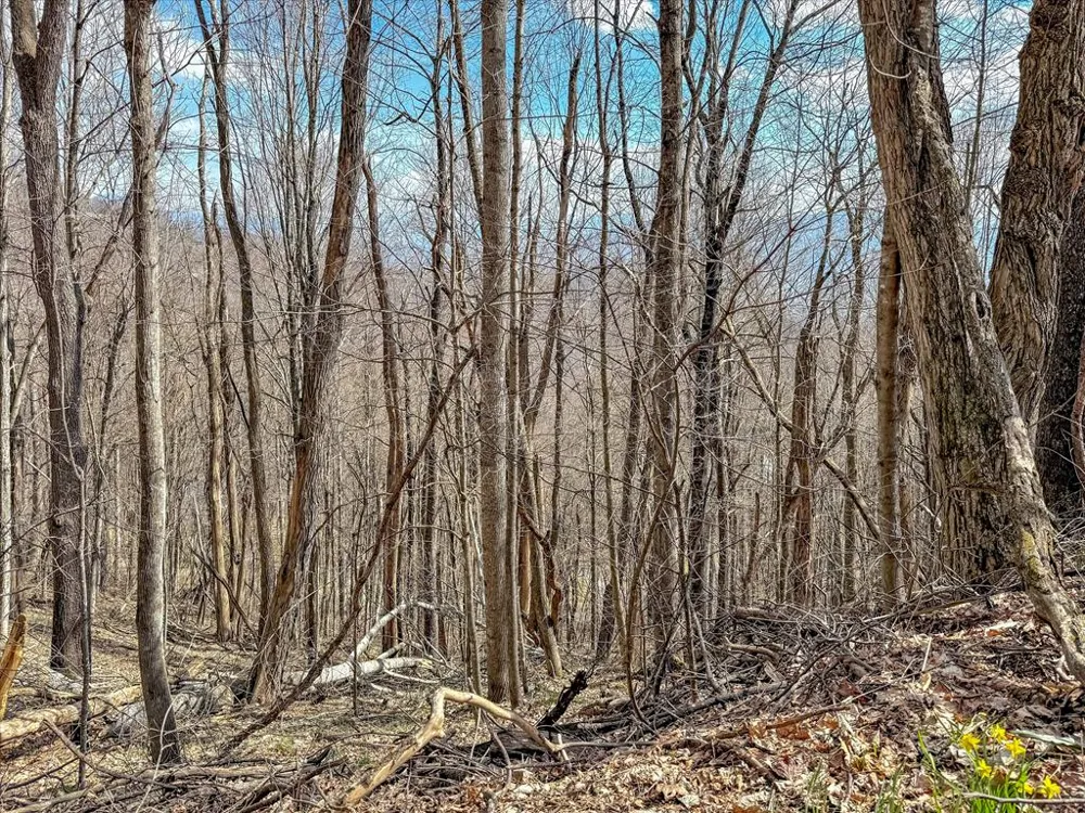 Chipmunk Circle Waynesville, NC 28785