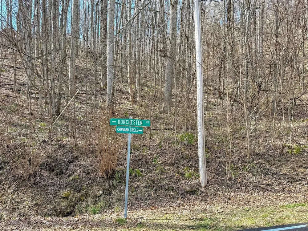 Chipmunk Circle Waynesville, NC 28785