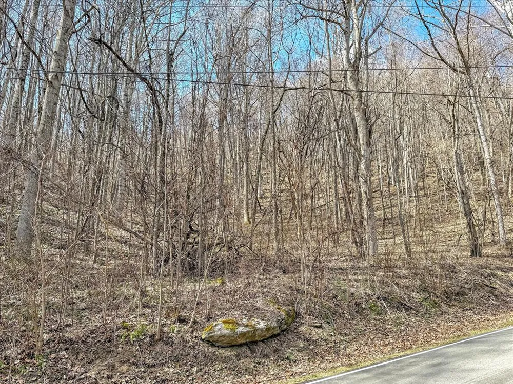 Chipmunk Circle Waynesville, NC 28785