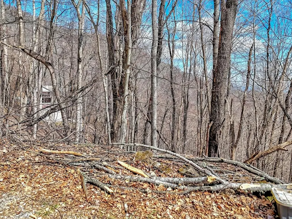 Chipmunk Circle Waynesville, NC 28785
