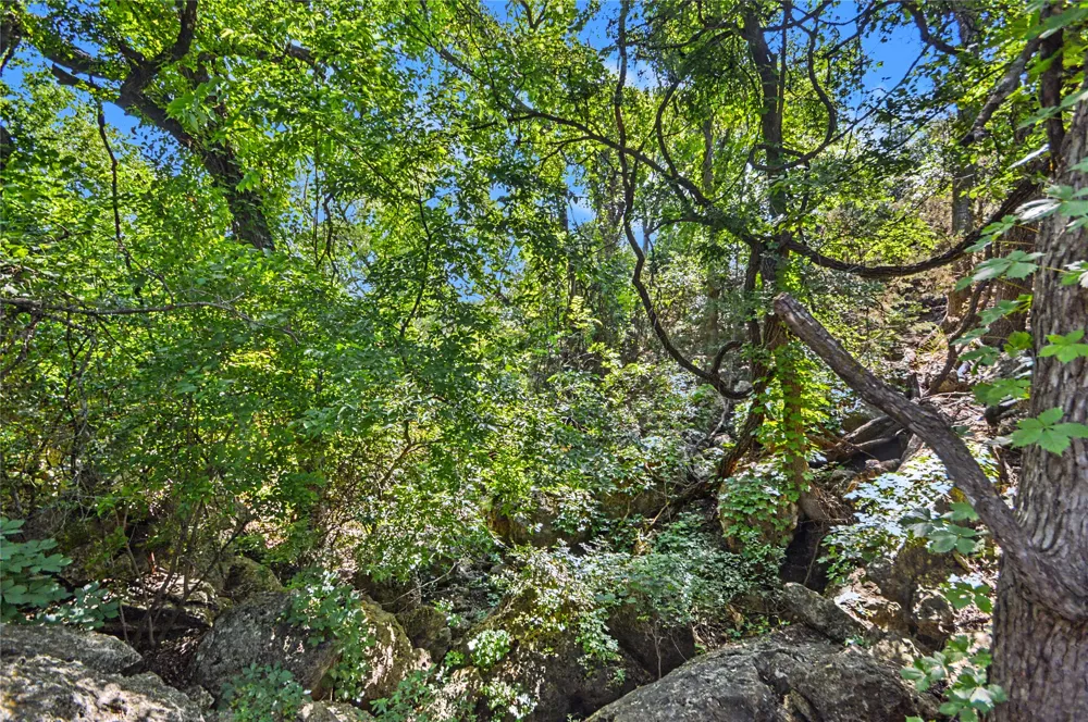 CR 318 ROAD Goldthwaite, TX 76844