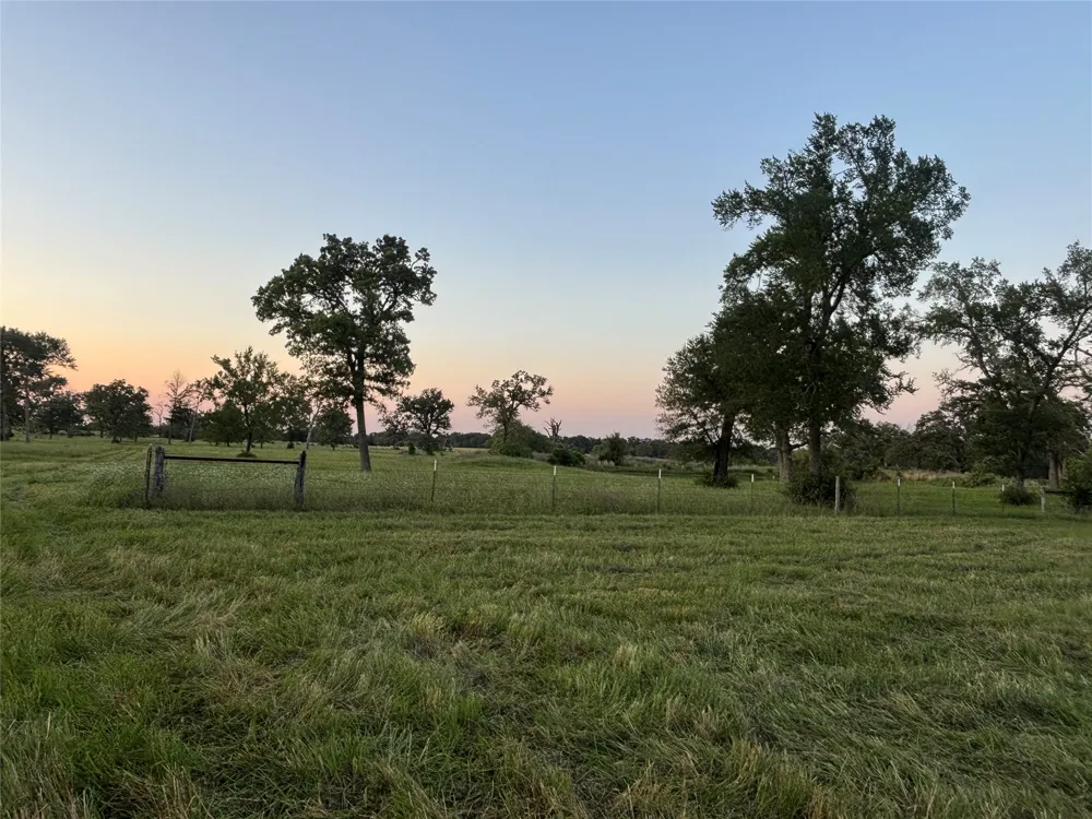 296 LCR 806 Groesbeck, TX 76642